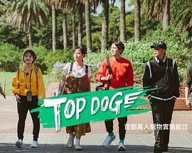乱伦社区《TOP DOG》免费在线观看