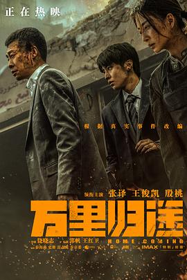 乱伦社区《万里归途》免费在线观看